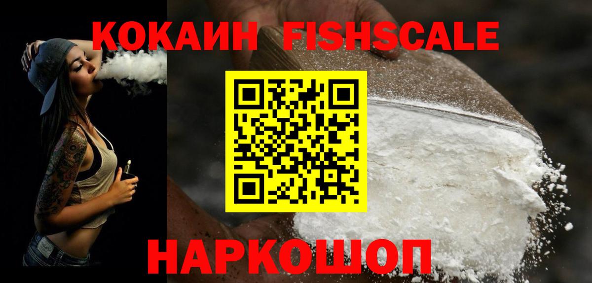 КОКАИН Fish Scale  COCAIN  Елец  COCAIN 97% 