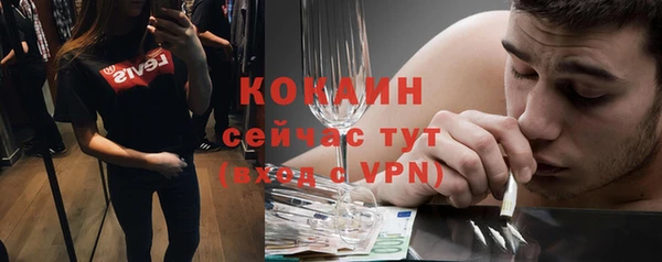 apvp Бердск