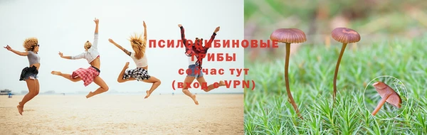 стаф Нязепетровск