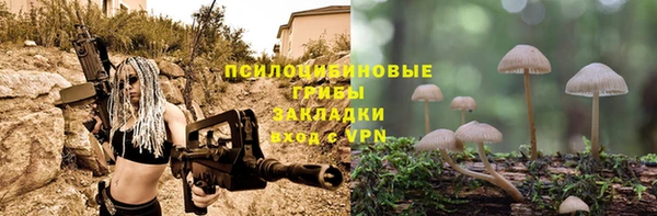 спиды Нея