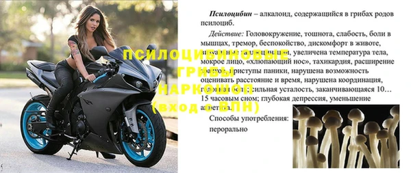 ALPHA PVP Няндома