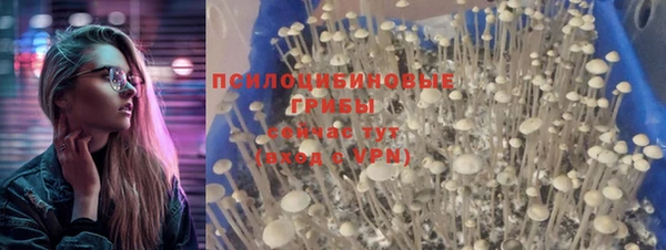 PSILOCYBIN Нягань