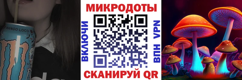 что такое наркотик  Елец  Галлюциногенные грибы мицелий 