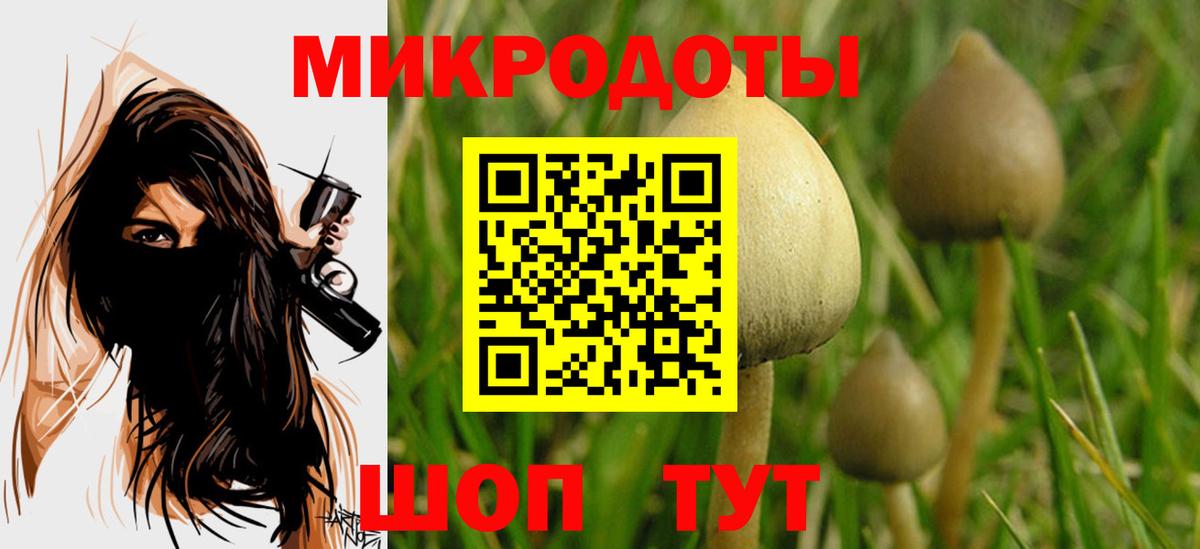 Галлюциногенные грибы GOLDEN TEACHER  Елец  Псилоцибиновые грибы мухоморы 