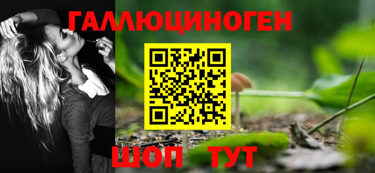 Псилоцибиновые грибы GOLDEN TEACHER Елец