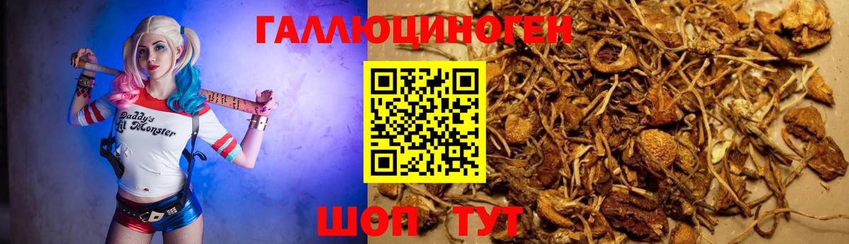 Метамфетамин Елец