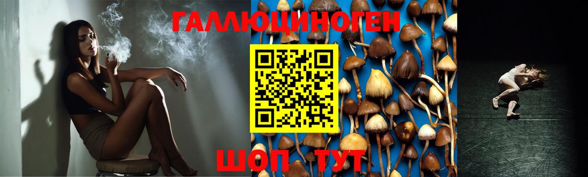 Елец  Галлюциногенные грибы ЛСД  Вход с VPN  Псилоцибиновые грибы Psilocybe 