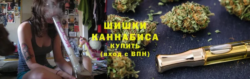 Шишки марихуана AK-47  магазин продажи наркотиков  Елец 